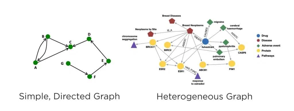 Simple directed graph vs heterogeneous graph